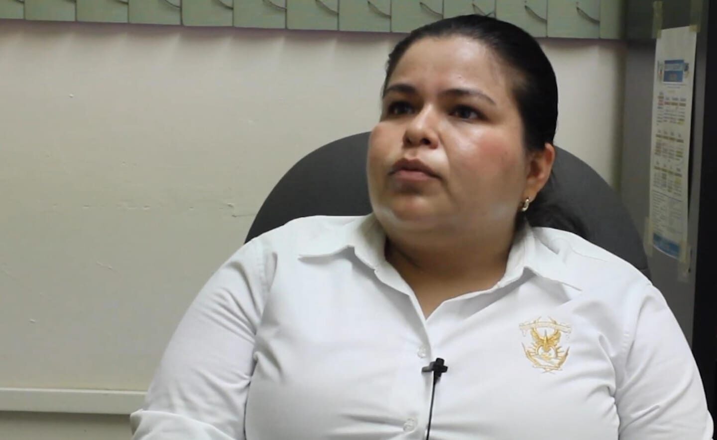 Desde 1981 la Facultad de Agronomía de la UAS cuenta con un Herbario con más de 20 mil ejemplares de diversas especies de flora nativa de Sinaloa