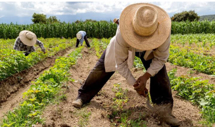 Productores comparten los problemas y no descartan en participar en acciones se protesta: AARFS