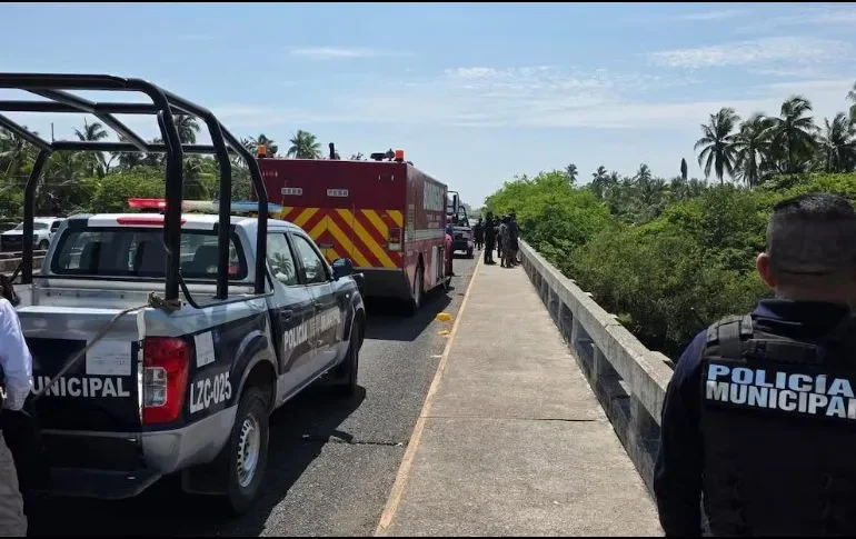 Niño cae en un río de cocodrilos