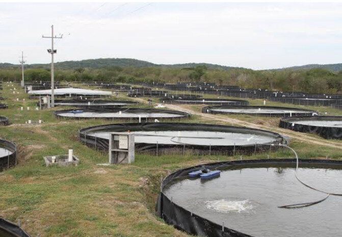 Presentan el Plan Estatal de Acción Climática para la Pesca y Acuacultura en Los Mochis