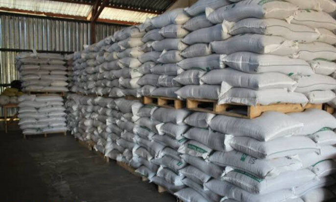 Da resultados quema de almacenamiento de frijol para su comercialización: AARFS