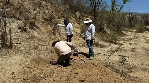 Sinaloa enfrenta crisis de desapariciones con más de 2 mil 500 casos en 10 meses: Cruz Bernal