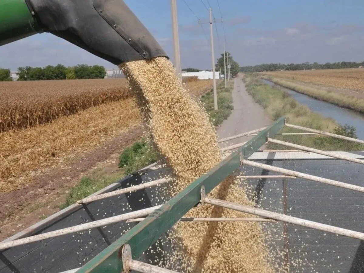 Exigen productores pago de los apoyos pendientes del maíz y el trigo: González Alvarado
