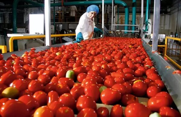 Irma Moreno critica la falta de acción del Gobierno Federal ante nuevo arancel al tomate por Estados Unidos