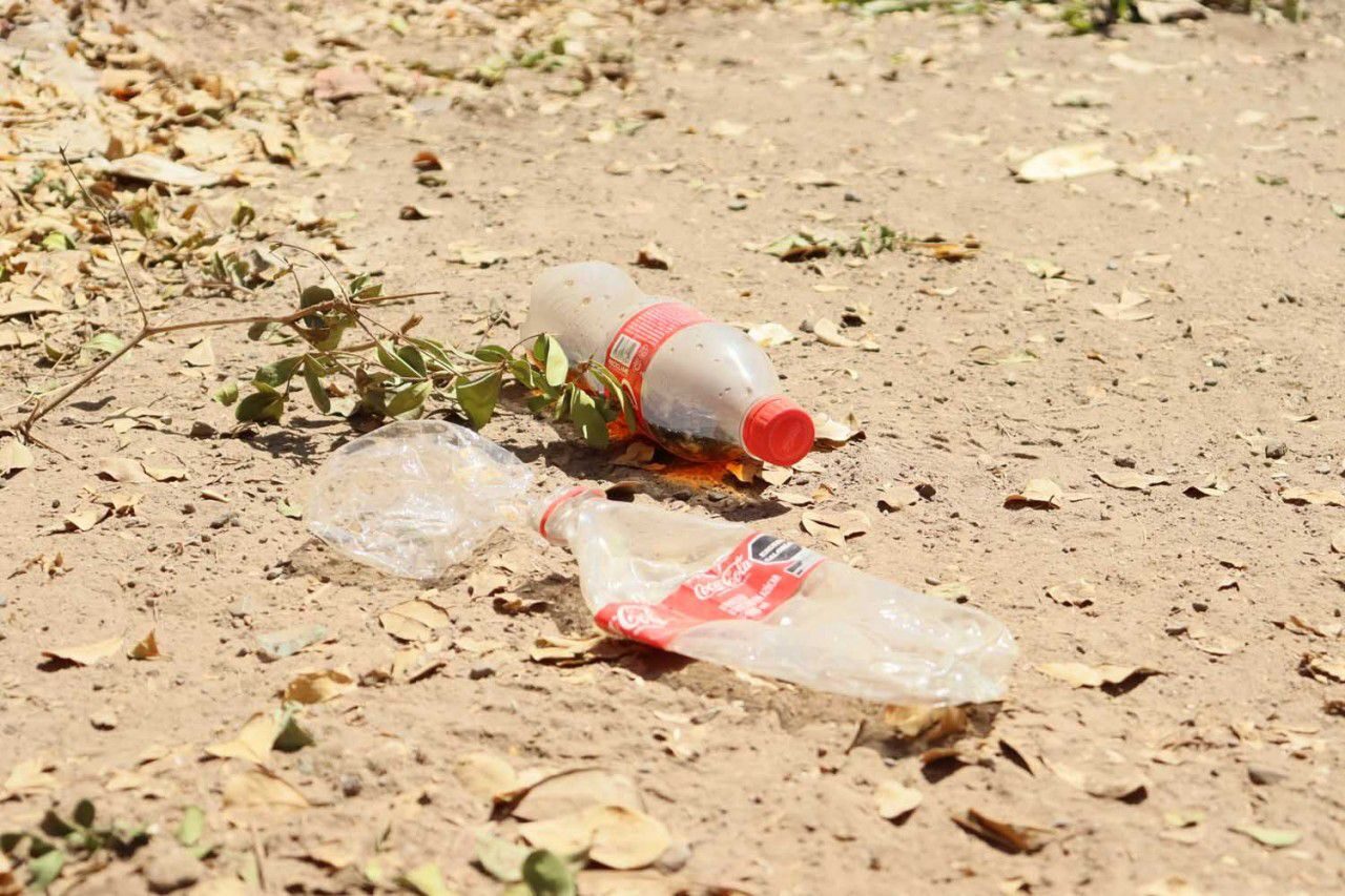 Los microplásticos se encuentran presentes en la lluvia y representan un riesgo a la salud; se requieren estrategias para resolver dicho problema
