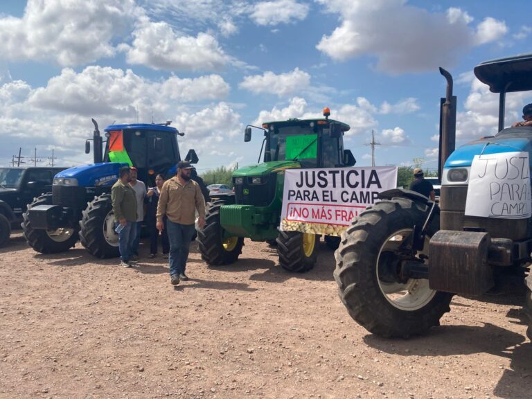 Productores de frijol se sienten estafados al no recibir pago por su cosecha; piden justicia
