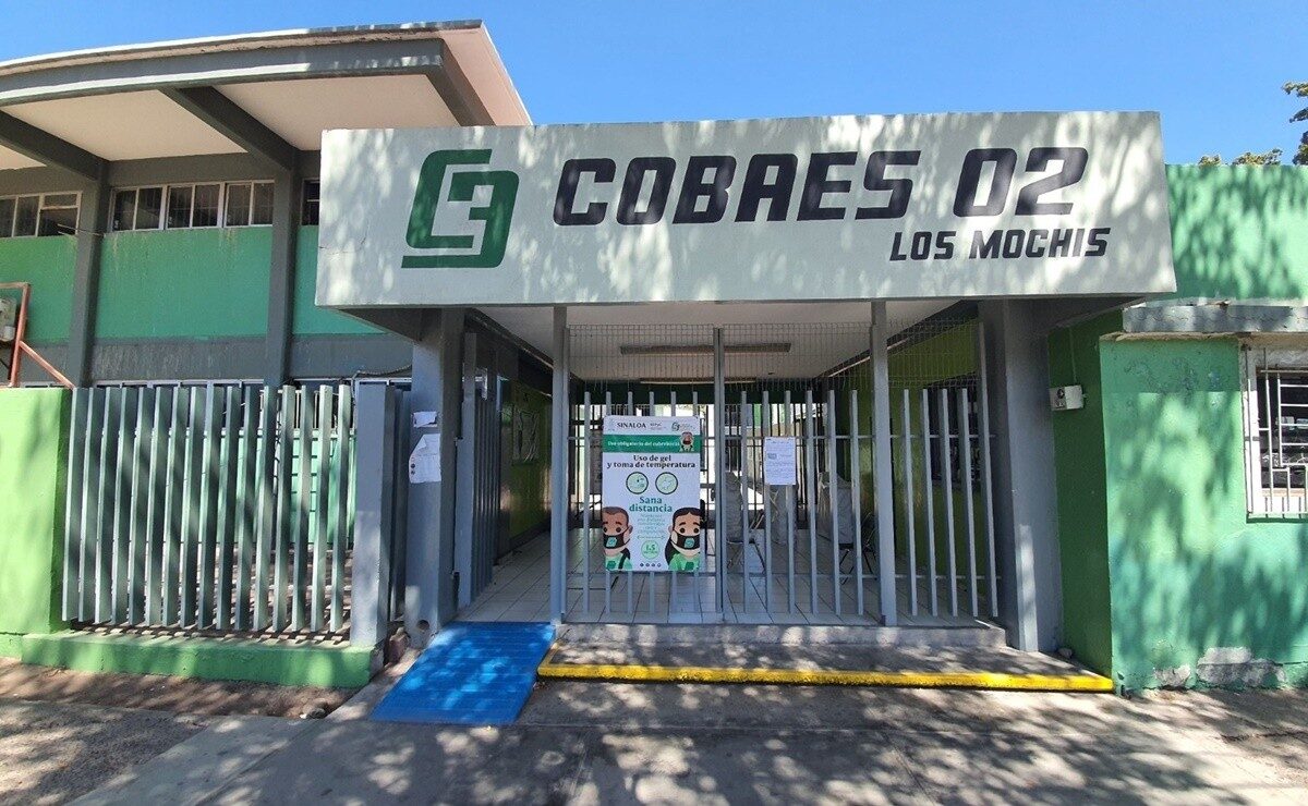 Cobaes: El robo descarado de plazas bajo el mando de Sandra Irene Reyes