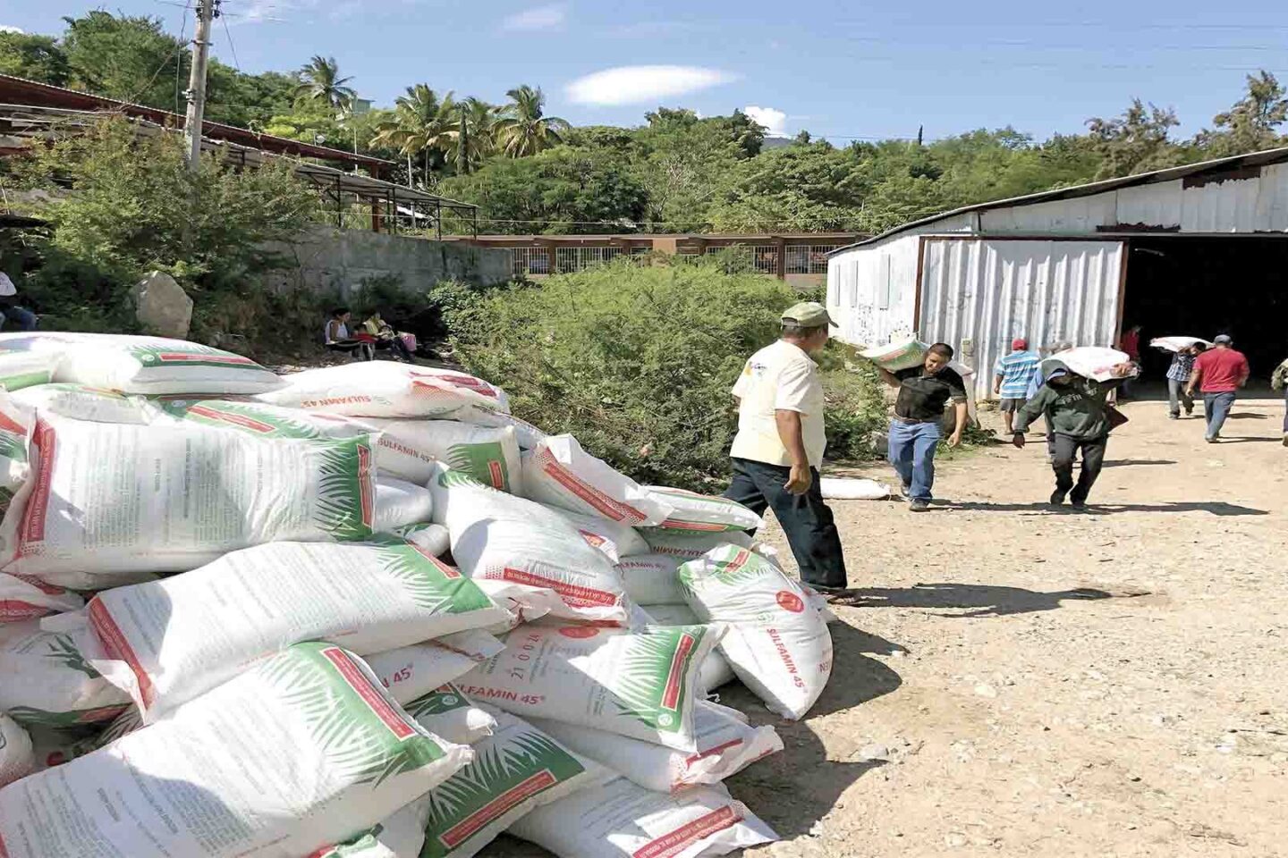 Si eres productor de trigo y aún no te haz registrado, hazlo ahora para acceder a los apoyos: Hernández Encinas