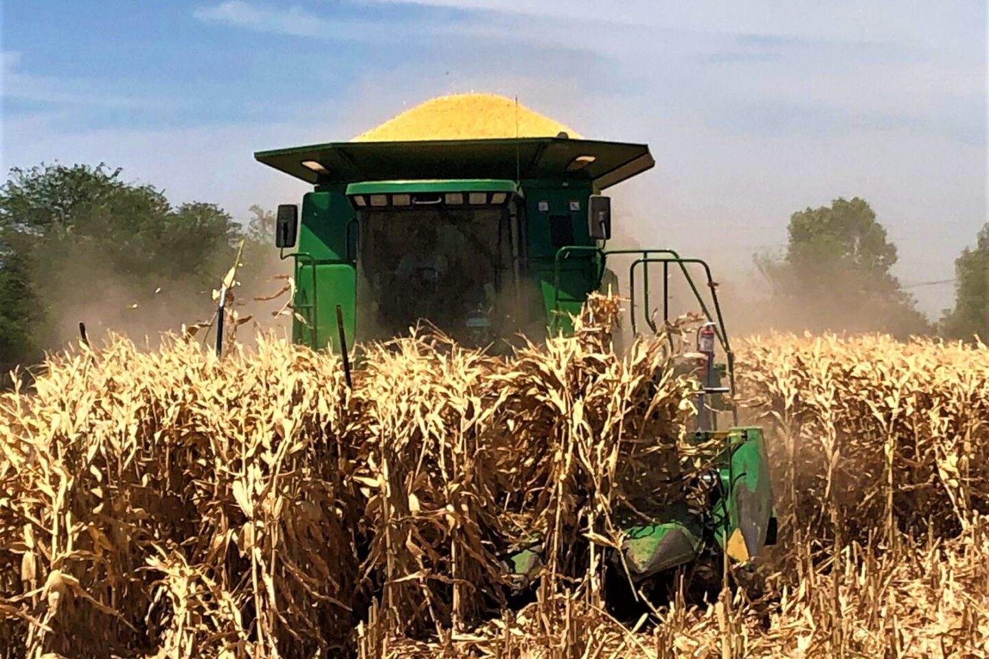 Productores se muestran indignados al recibir la noticia de que no hay recursos para el pago de apoyos pendientes