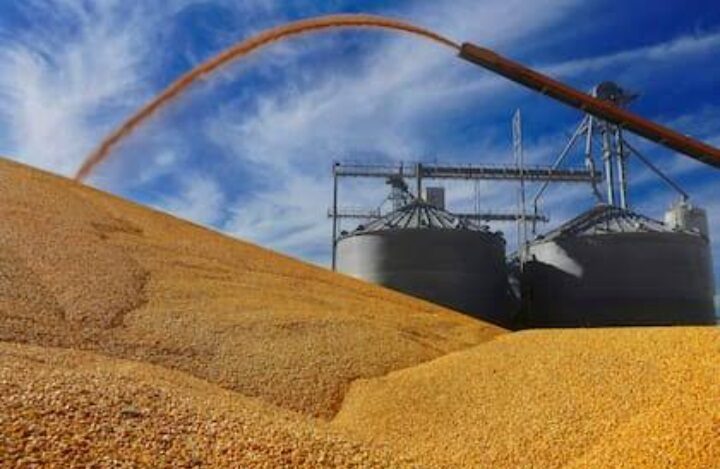 Productores y Gobierno del Estado colaboran para definir una programación de siembras para la temporada de otoño-invierno