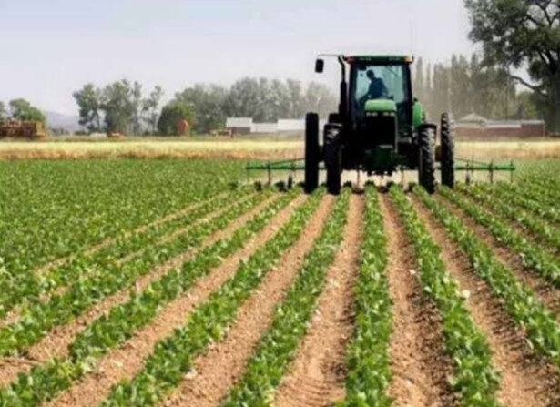La soberanía alimentaria en México sólo queda en el discurso; no hay resultados: Líder campesino
