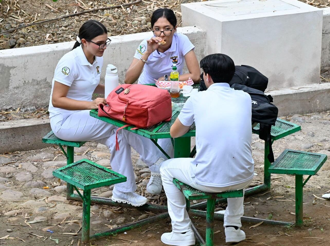 Junto con el regreso a clases es importante que niñas y niños lleven su lonchera saludable y que conozcan los diferentes tipos de alimentos