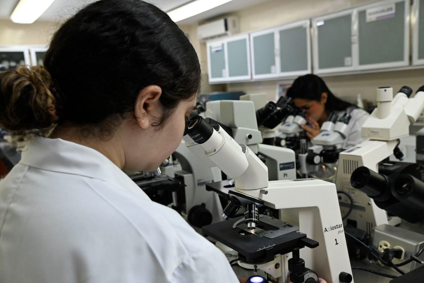 Necesario y pertinente asumir medidas preventivas en los hogares y las zonas circunvecinas para controlar la rickettsiosis, grave problema de salud