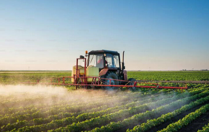 Se encarece precio de fertilizante en 30% ; en riesgo rentabilidad de cultivos en Sinaloa