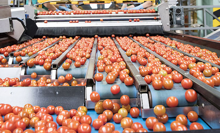 Cae exportación de agroalimentos por políticas de Trump