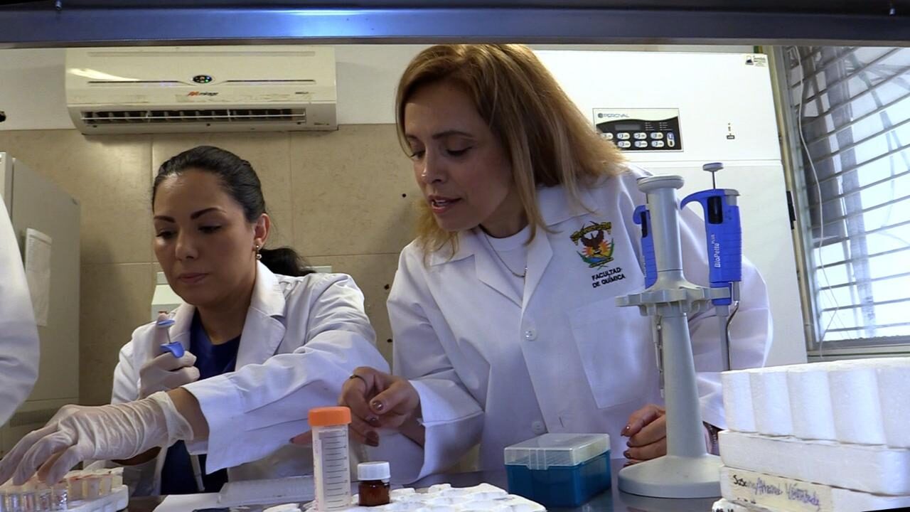 Especialista de la UAS realiza investigación en proteínas alternativas de fuente vegetal y de insectos, como soluciones sostenibles y saludables