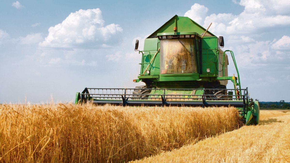 Productores molestos por retraso de apertura de ventanilla para recibir pago de garantía del trigo