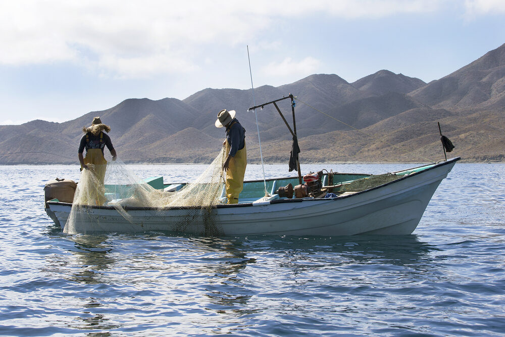 Bienpesca es bueno, pero no satisface necesidades reales de los pescadores
