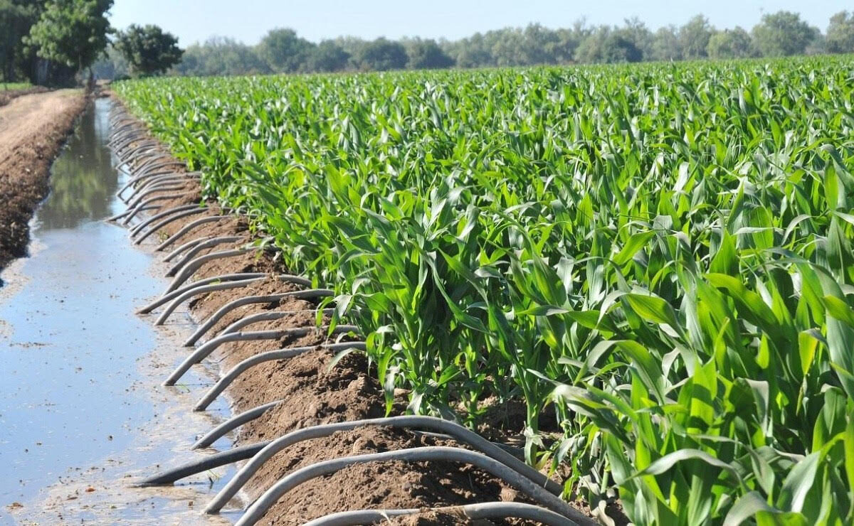 La ANUR advierte que la reforma a la Ley de Aguas Nacionales pone en riesgo la propiedad agrícola