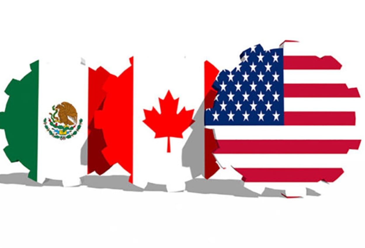 La incertidumbre por TMec y la baja de rentabilidad frenan producción de hortalizas