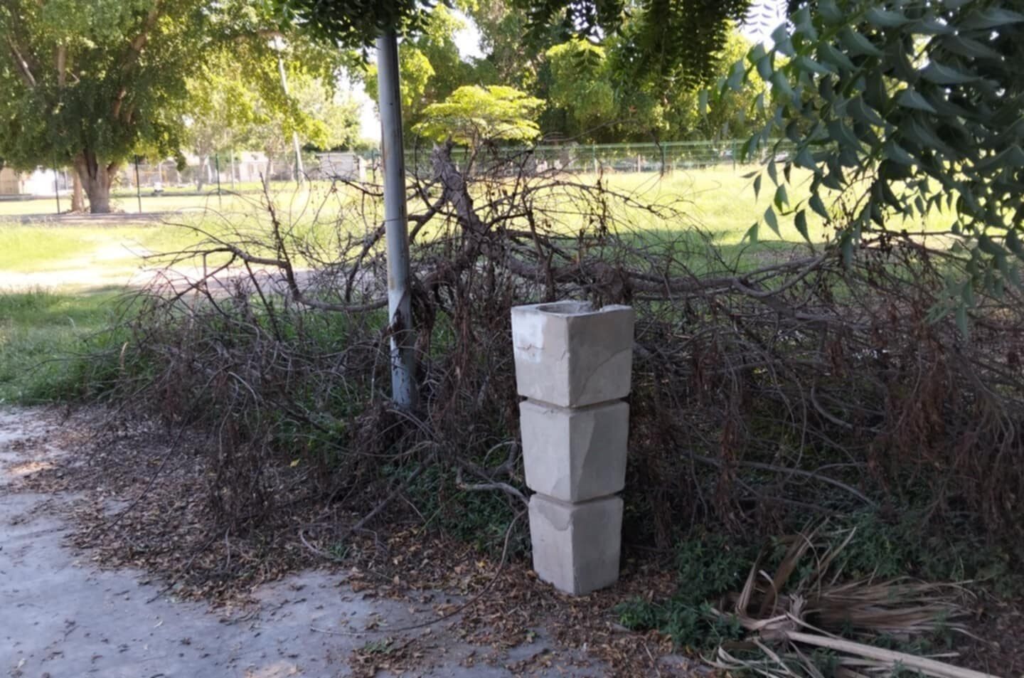 Habitantes de Las Huertas denuncian que el parque está en el abandono; lleno de maleza y bancas oxidadas