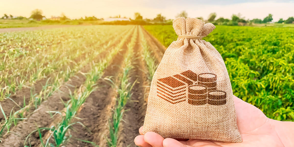 La reasignación mínima al presupuesto agrícola para el 2026 genera descontento
