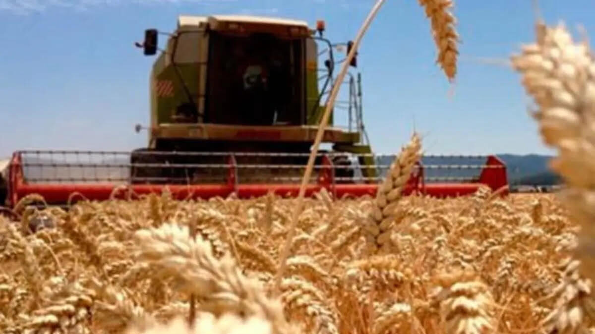 “En México se requiere nuevo modelo de desarrollo rural que beneficie a productores”: Feliciano Castro