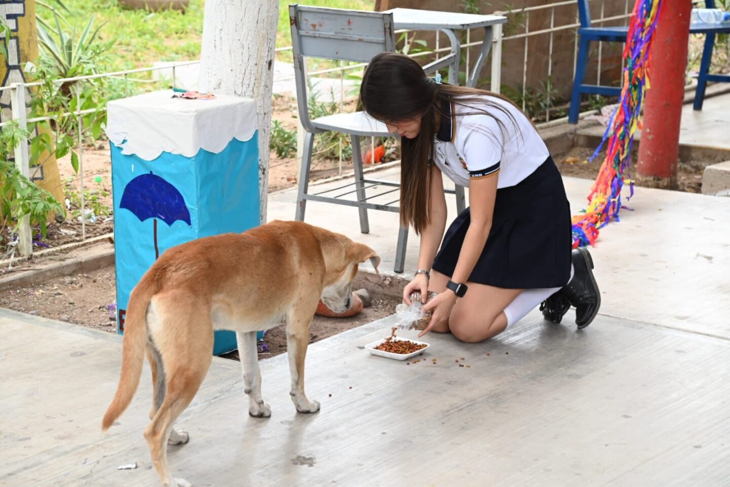 ¡Empatía y solidaridad! La Preparatoria Rafael Buelna realiza donaciones de trenzas y apoyo económico a GANAC, así como una tonelada de croquetas a Balto y Togo Bienestar y Rescate Animal