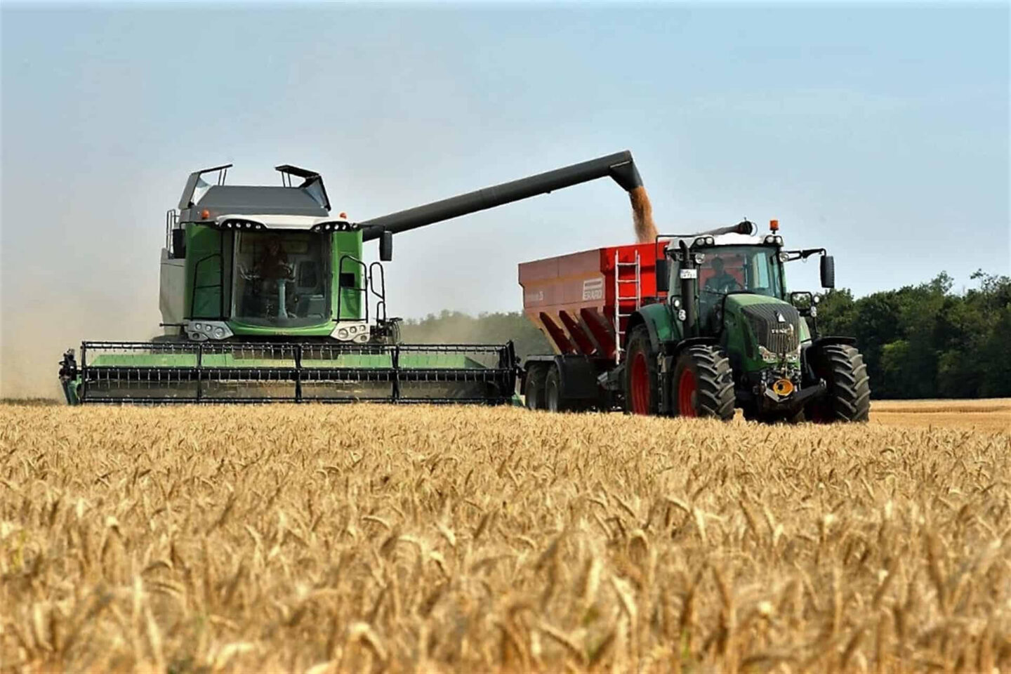 Indignación en El Carrizo por trámites complicados para trigueros