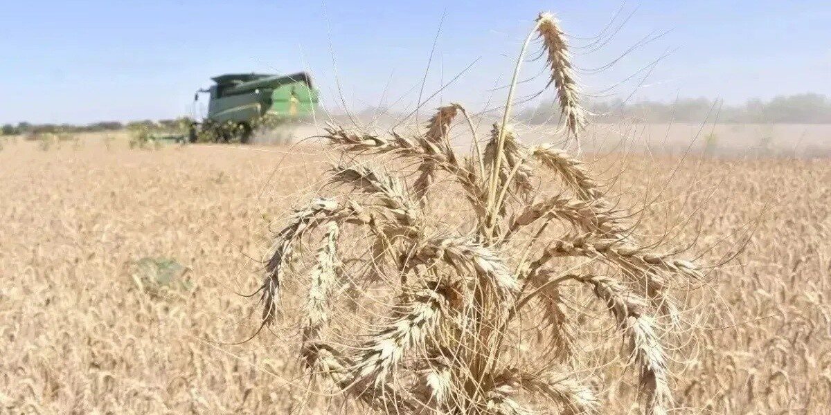 Evita perder apoyos y agua, conoce la fecha límite para el trámite: JLSVVC