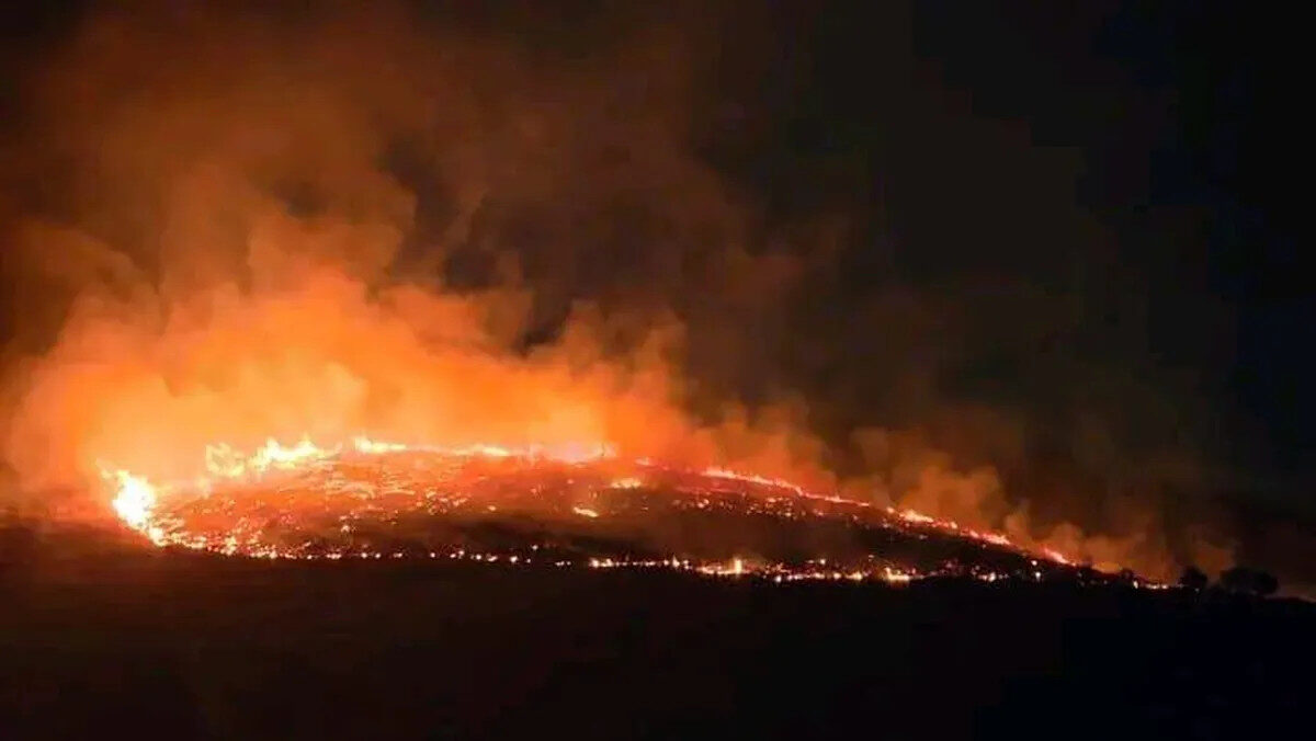 Incendio consume dos hectáreas en la sierra de Guadalupe, ubicada en Ecatepec