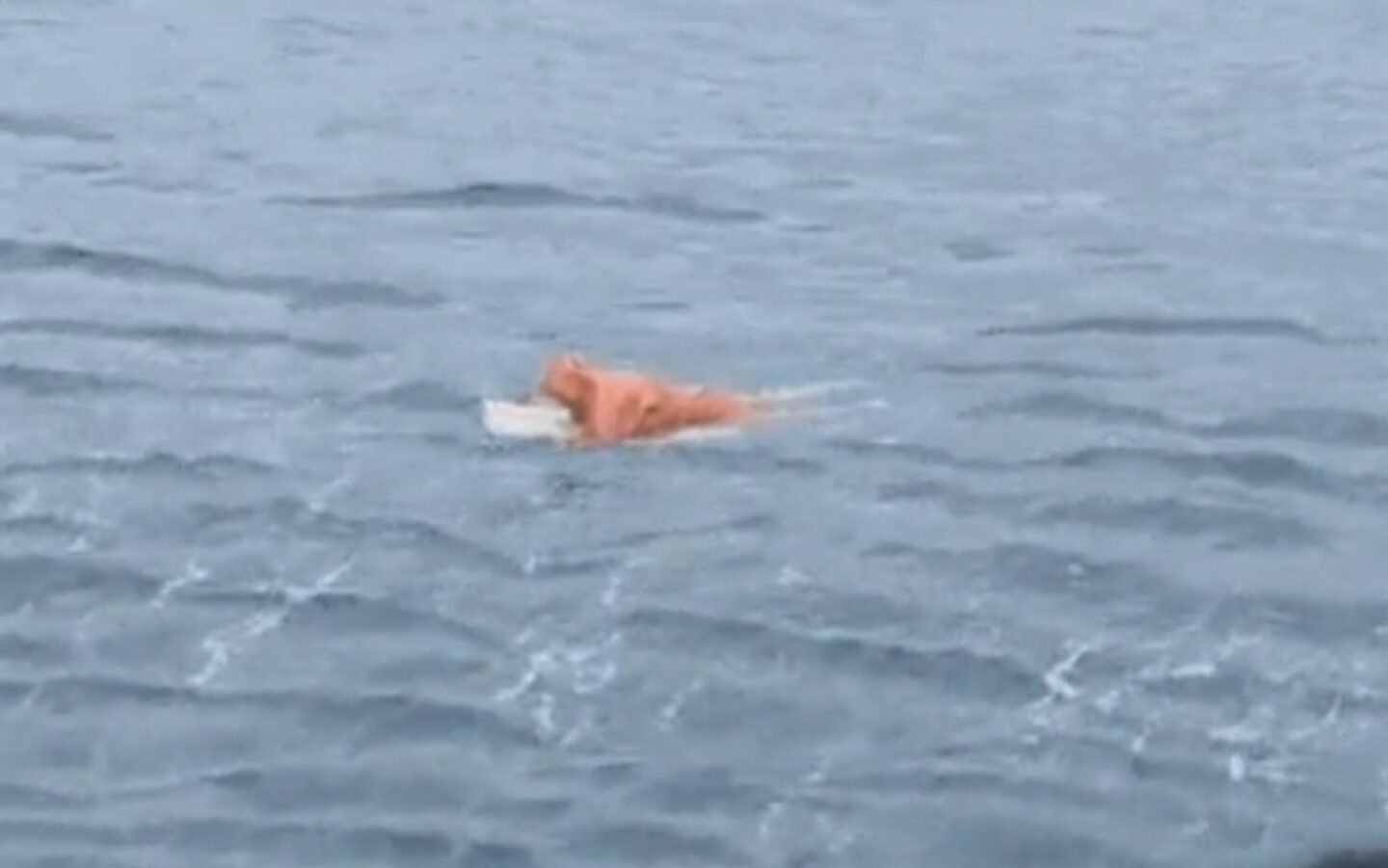 Pescador sobrevive 17 horas aferrado a puerta de heladera tras naufragio en Santa Catarina