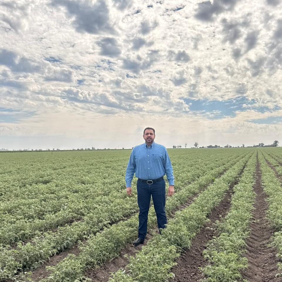 La calidad del garbanzo sinaloense, abre las puertas del mercado del medio oriente: Ismael Bello Esquuivel