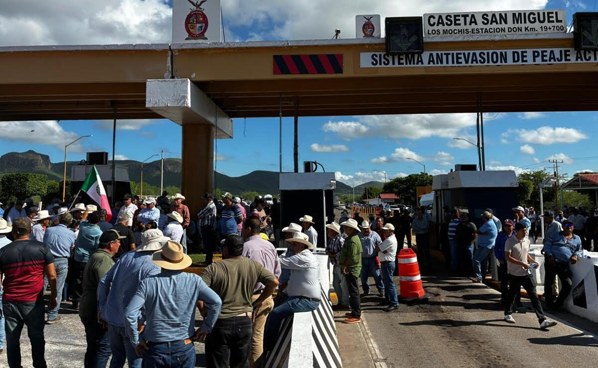 Productores de Sinaloa se manifestarán próximo lunes para exigir precio justo del maíz