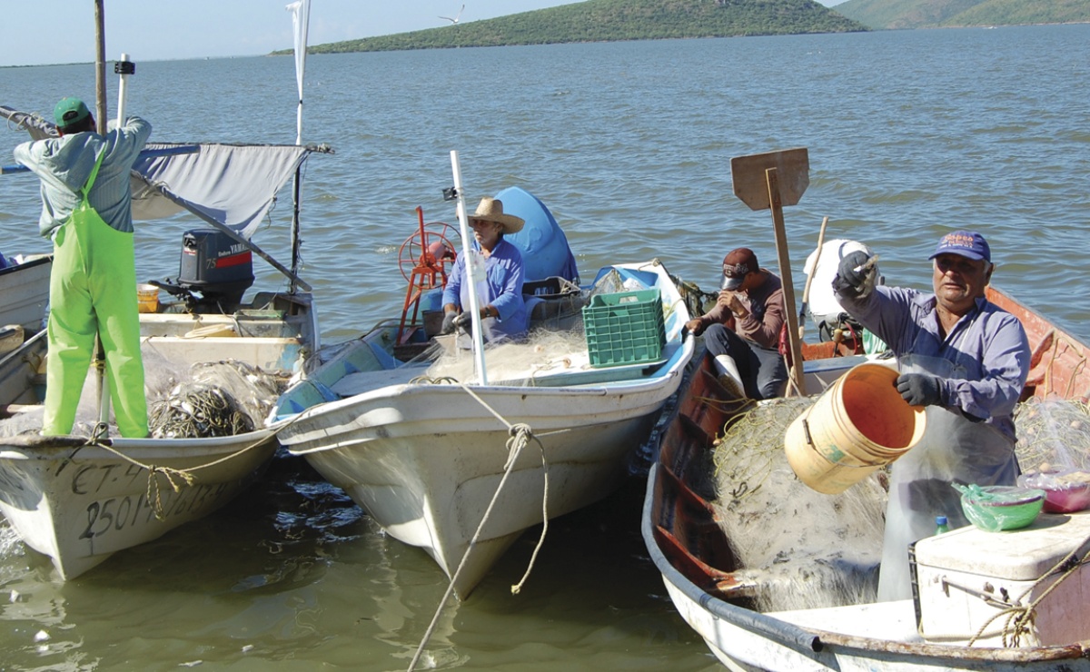 Abre Secretaría  de Pesca ventanillas para apoyos de embarcaciones y motores marinos: Guerra Mena