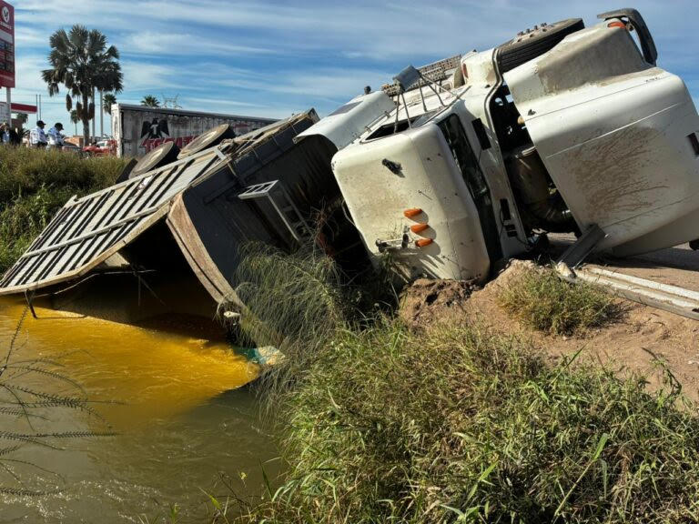 Camión de carga con maíz se vuelca en el canal Lateral 18 en Los Mochis