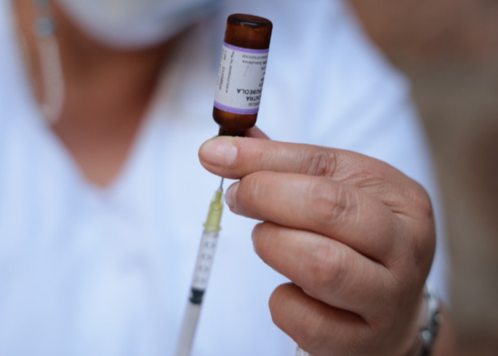 Ahome se mantiene libre de sarampión; Salud Municipal llama a reforzar la vacunación y evitar alarmas